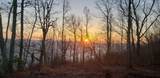 3155 Pigeon Spur Road - Photo 47