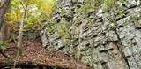 3155 Pigeon Spur Road - Photo 48