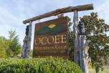 123 Cherokee Ridge Drive - Photo 38