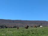4637 Ideal Valley Road - Photo 9