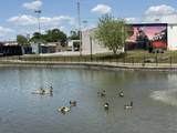 405 Andrews Street - Photo 41