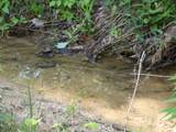 310 Dogwood Road - Photo 19