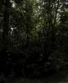 0 Beechwood Trail - Photo 4