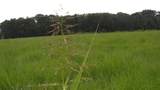 0 Double S Road - Photo 6