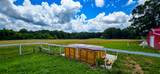 2224 Gap Road - Photo 19