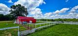 2224 Gap Road - Photo 20