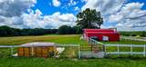 2224 Gap Road - Photo 21