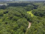Lot 135 Lower Brow Road - Photo 4