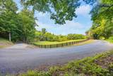 259 County Road 60 - Photo 14
