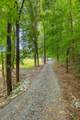 259 County Road 60 - Photo 15