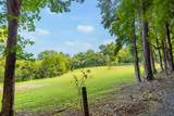259 County Road 60 - Photo 19