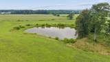 4431 Riggs Road - Photo 44
