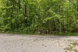 2223 Laurel Street - Photo 4