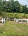 00-Lot 03 Cottonport Road - Photo 3