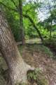 214 County Road 67 - Photo 36