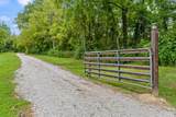 215 Morgan Road - Photo 57