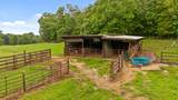 750 Holder Loop Road - Photo 39