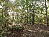 1665 Valley View Road - Photo 52