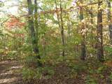 1665 Valley View Road - Photo 53