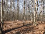 504 Wilderness Way - Photo 3