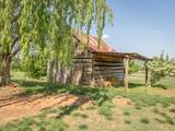 8734 Rambling Rose Drive - Photo 51