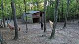 1220 Lone Mountain Drive - Photo 43