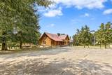 388 Patty Road - Photo 8