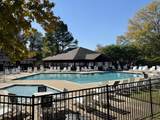 7915 Dancing Fern Trail - Photo 40