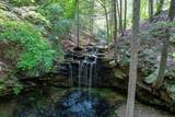 110 Falls Lane - Photo 3