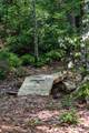 110 Falls Lane - Photo 46