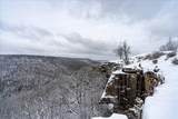 110 Falls Lane - Photo 8