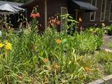12615 Civic Club Road - Photo 81