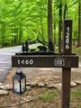1286 Oglethorpe Mountain Road - Photo 7
