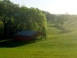919 John Burch Road - Photo 51