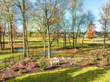 8734 Rambling Rose Drive - Photo 17