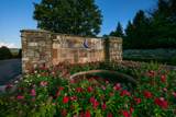 8734 Rambling Rose Drive - Photo 44