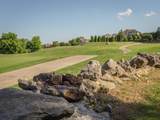 8734 Rambling Rose Drive - Photo 48