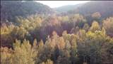 5298 Dicks Creek Road - Photo 36