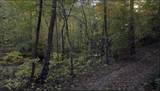 5298 Dicks Creek Road - Photo 38