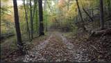 5298 Dicks Creek Road - Photo 39