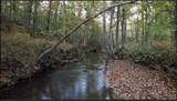 5298 Dicks Creek Road - Photo 40