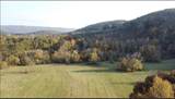 5298 Dicks Creek Road - Photo 41