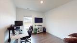 5859 Prickly Loop - Photo 24