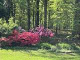 1515 Crestway Drive - Photo 40