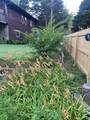 12615 Civic Club Road - Photo 86