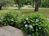 919 John Burch Road - Photo 8