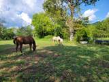 8110 Ooltewah Georgetown Road - Photo 18