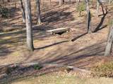 1909 Beech Cove Drive - Photo 16