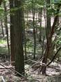 4560-Jf-112 Raulston Falls Road - Photo 21