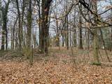 1515 Crestway Drive - Photo 48